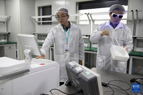 科创故事汇 | 朱锐 点亮OCT技术服务临床的微光